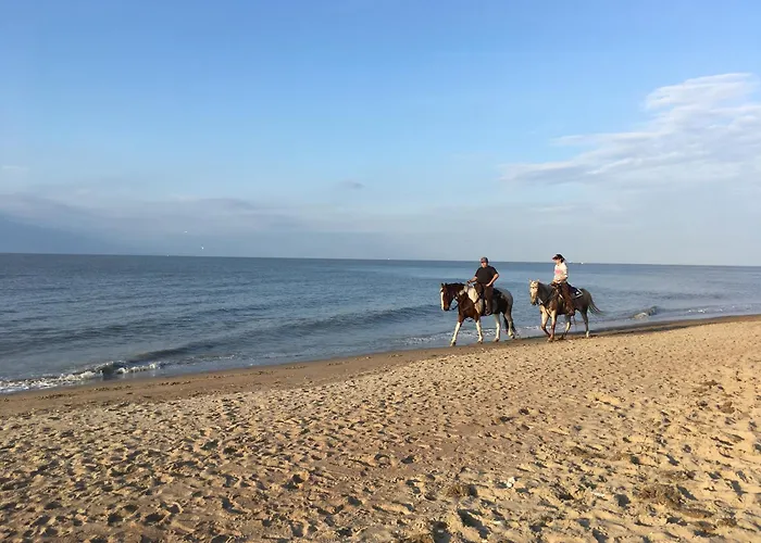 Appartement Belle Epoque Holidays